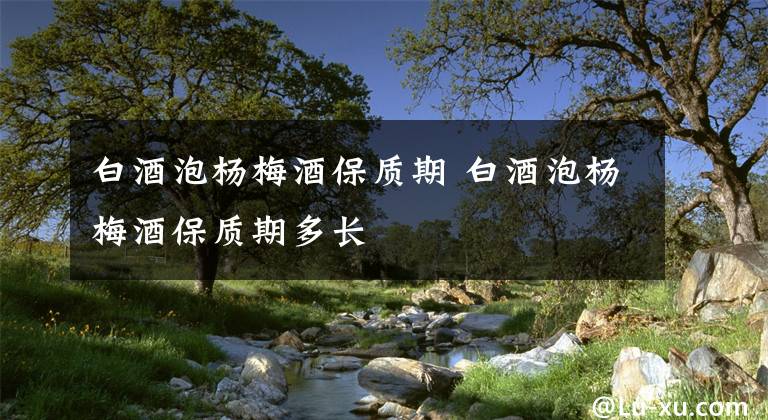 白酒泡杨梅酒保质期 白酒泡杨梅酒保质期多长