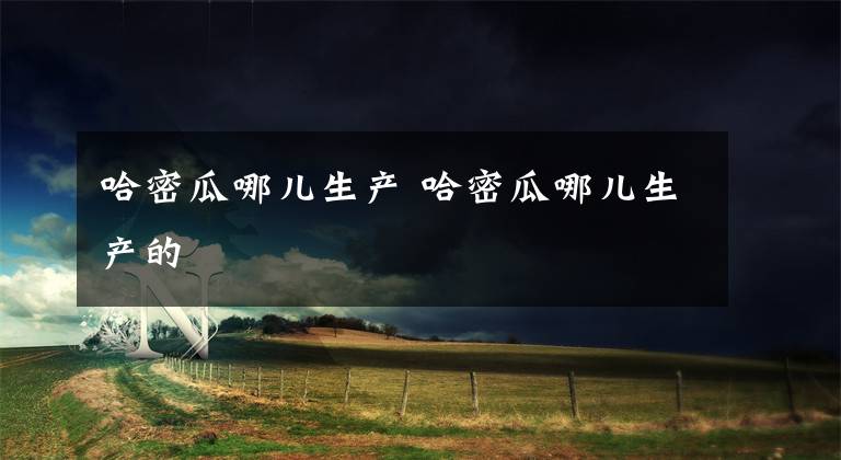 哈密瓜哪儿生产 哈密瓜哪儿生产的