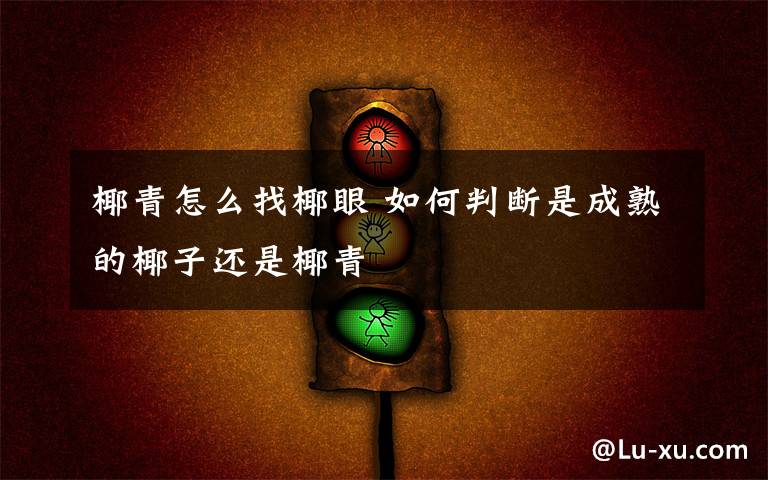 椰青怎么找椰眼 如何判断是成熟的椰子还是椰青