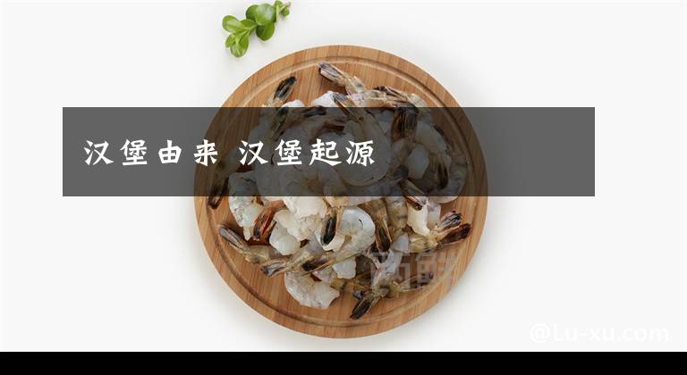 汉堡由来 汉堡起源