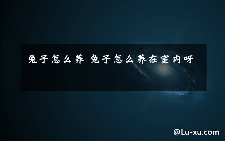 兔子怎么养 兔子怎么养在室内呀