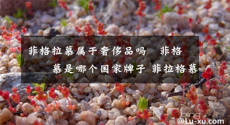 菲格拉慕属于奢侈品吗 菲格拉慕是哪个国家牌子 菲拉格慕是哪个国家品牌