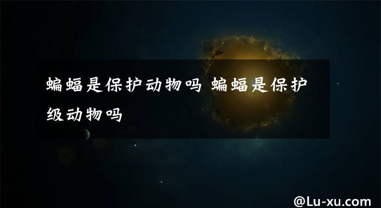 蝙蝠是保护动物吗 蝙蝠是保护级动物吗