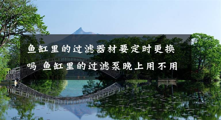 鱼缸里的过滤器材要定时更换吗 鱼缸里的过滤泵晚上用不用开了