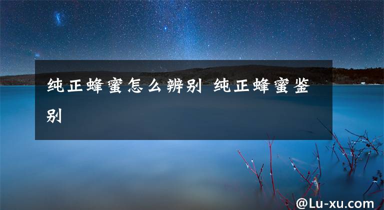 纯正蜂蜜怎么辨别 纯正蜂蜜鉴别