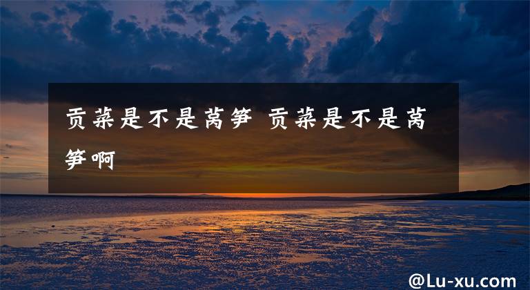 贡菜是不是莴笋 贡菜是不是莴笋啊