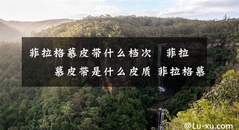 菲拉格慕皮带什么档次 菲拉格慕皮带是什么皮质 菲拉格慕皮带有什么纹路