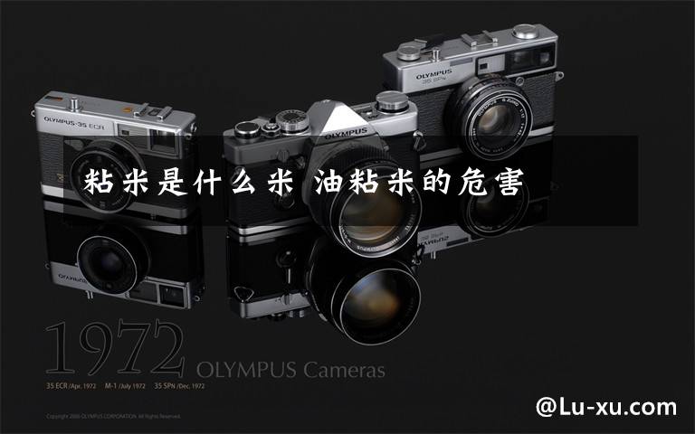粘米是什么米 油粘米的危害