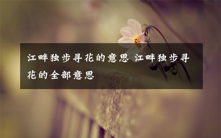 江畔独步寻花的意思 江畔独步寻花的全部意思
