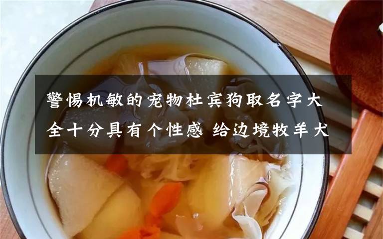 警惕机敏的宠物杜宾狗取名字大全十分具有个性感 给边境牧羊犬起名字大全