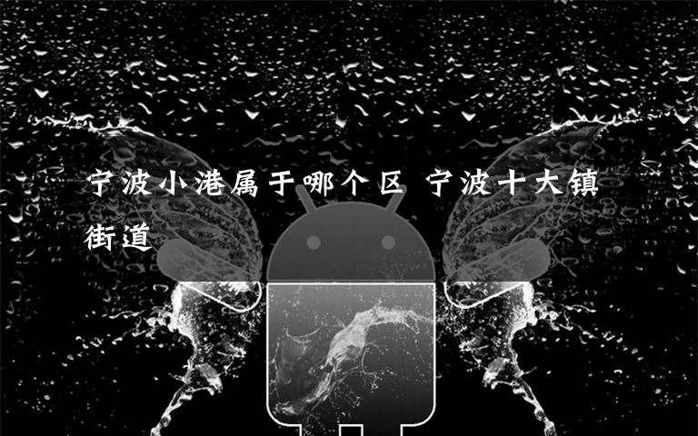 宁波小港属于哪个区 宁波十大镇街道