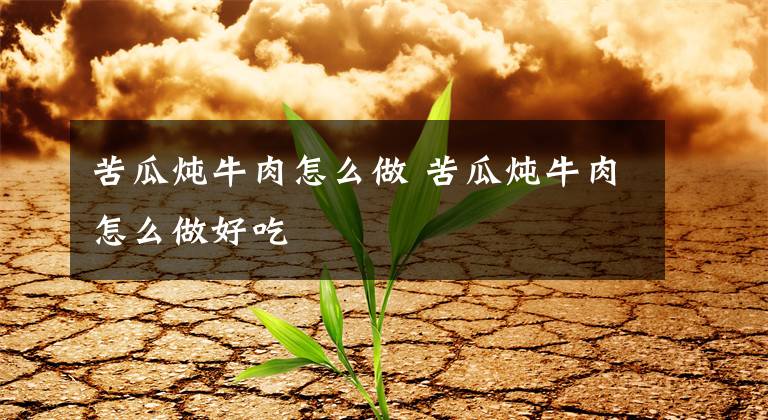 苦瓜炖牛肉怎么做 苦瓜炖牛肉怎么做好吃