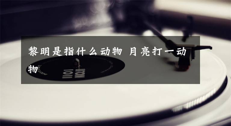 黎明是指什么动物 月亮打一动物