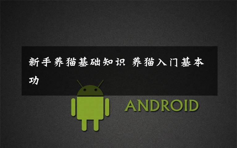 新手养猫基础知识 养猫入门基本功