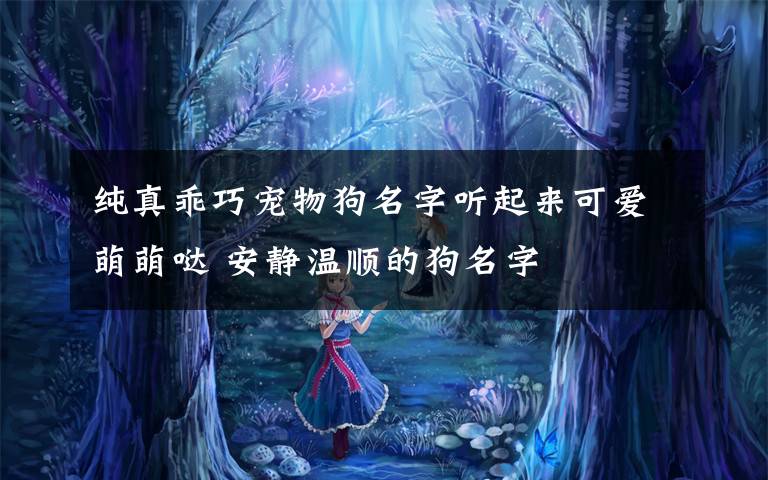 纯真乖巧宠物狗名字听起来可爱萌萌哒 安静温顺的狗名字