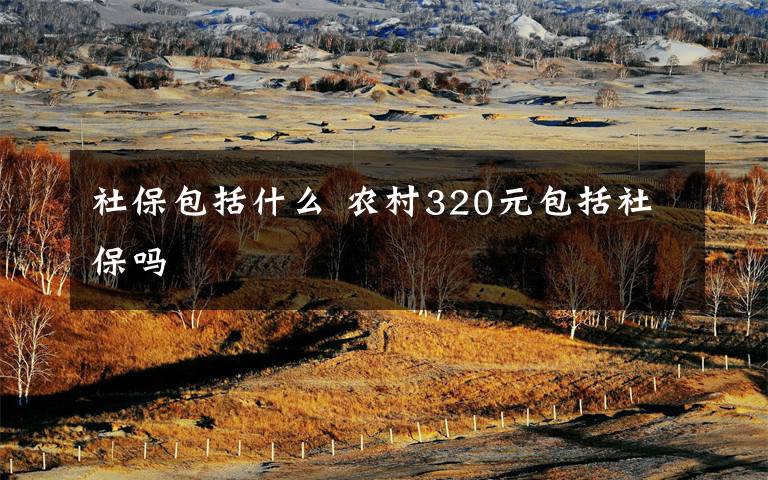 社保包括什么 农村320元包括社保吗