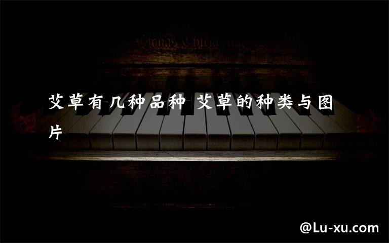 艾草有几种品种 艾草的种类与图片