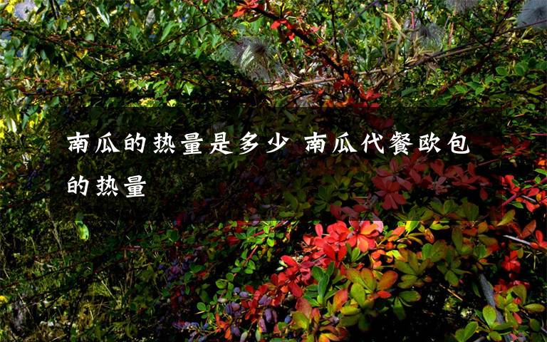 南瓜的热量是多少 南瓜代餐欧包的热量