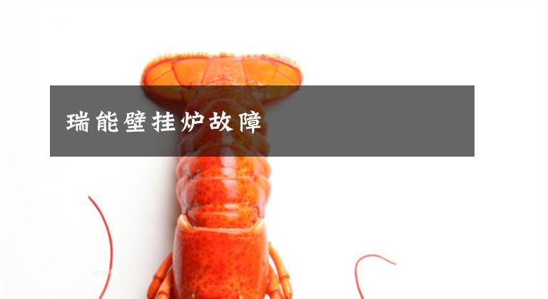 瑞能壁挂炉故障
