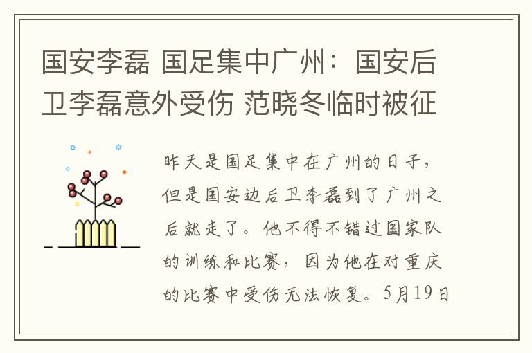 国安李磊 国足集中广州:国安后卫李磊意外受伤 范晓冬临时被征调