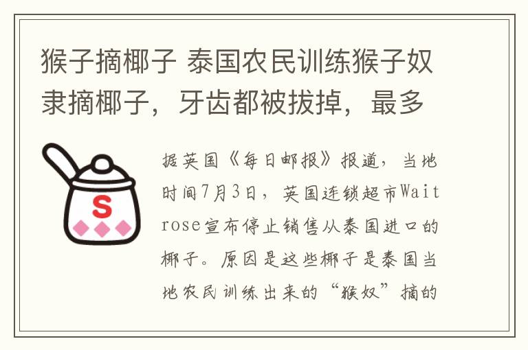 猴子摘椰子 泰国农民训练猴子奴隶摘椰子,牙齿都被拔掉,最多每天可摘1600个