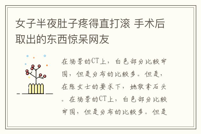 女子半夜肚子疼得直打滚 手术后取出的东西惊呆网友