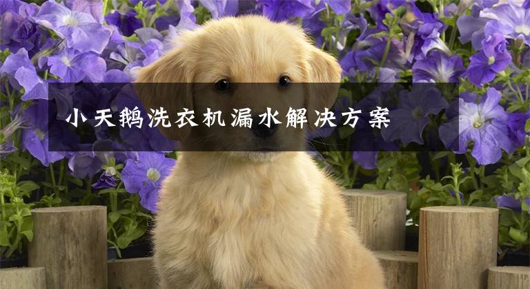 小天鹅洗衣机漏水解决方案