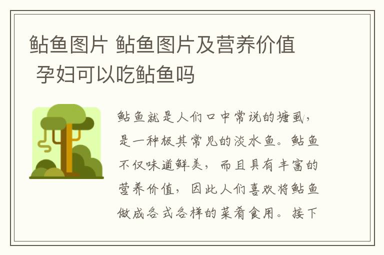 鲇鱼图片 鲇鱼图片及营养价值 孕妇可以吃鲇鱼吗