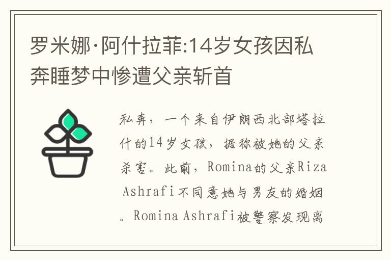 罗米娜·阿什拉菲:14岁女孩因私奔睡梦中惨遭父亲斩首