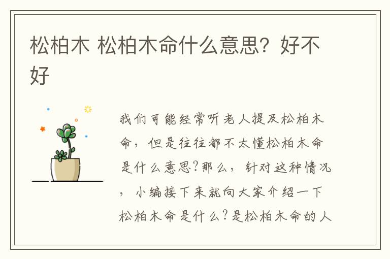 松柏木 松柏木命什么意思?好不好