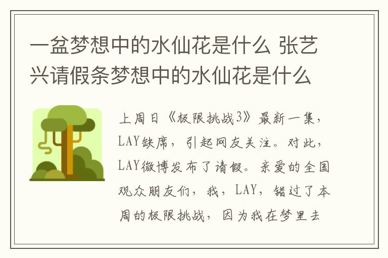 一盆梦想中的水仙花是什么 张艺兴请假条梦想中的水仙花是什么梗