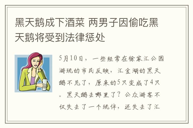 黑天鹅成下酒菜 两男子因偷吃黑天鹅将受到法律惩处