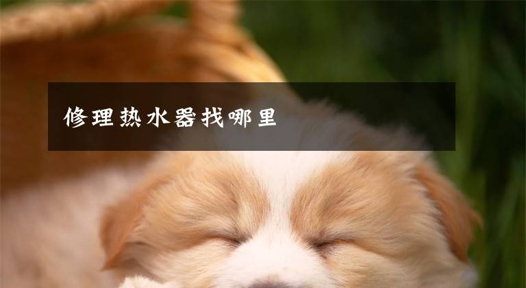 修理热水器找哪里