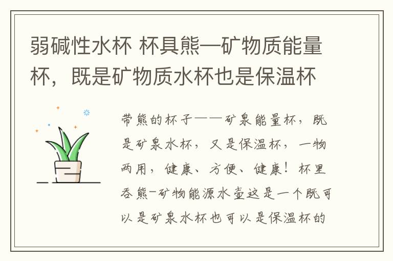 弱碱性水杯 杯具熊—矿物质能量杯,既是矿物质水杯也是保温杯,一杯两用,健康,方便又养生!