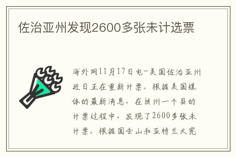 佐治亚州发现2600多张未计选票