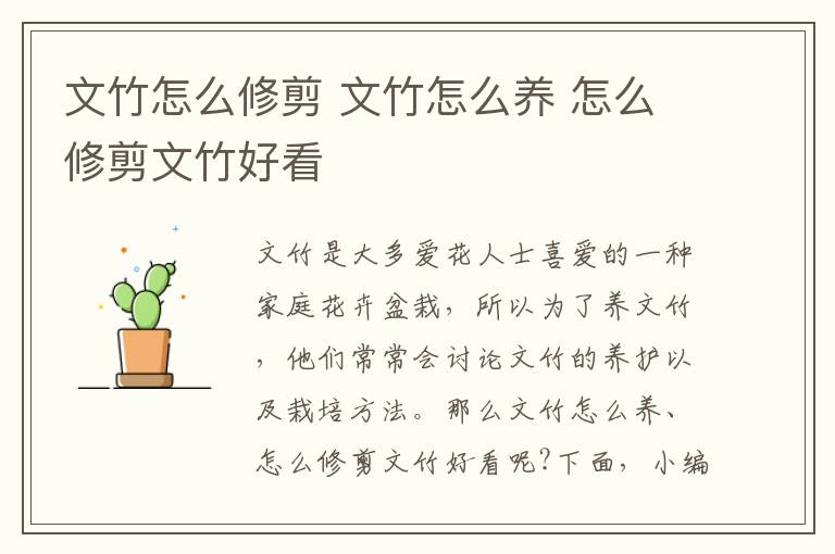 文竹怎么修剪 文竹怎么养 怎么修剪文竹好看