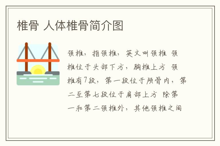 椎骨 人体椎骨简介图