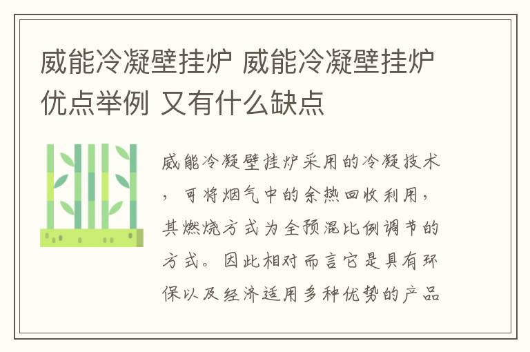 威能冷凝壁挂炉 威能冷凝壁挂炉优点举例 又有什么缺点