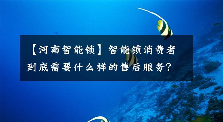 【河南智能锁】智能锁消费者到底需要什么样的售后服务？