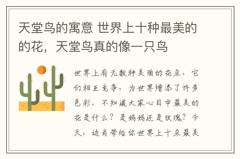 天堂鸟的寓意 世界上十种最美的的花,天堂鸟真的像一只鸟