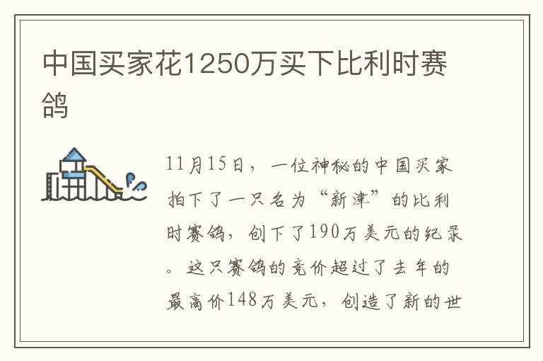 中国买家花1250万买下比利时赛鸽