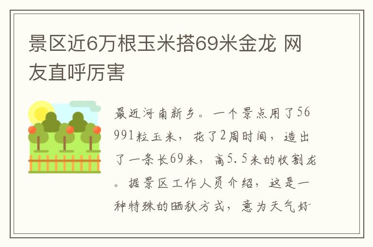 景区近6万根玉米搭69米金龙 网友直呼厉害