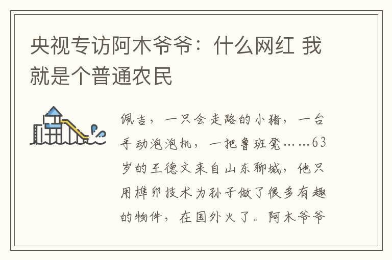 央视专访阿木爷爷:什么网红 我就是个普通农民
