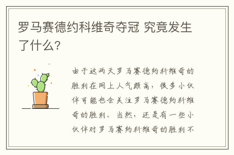 罗马赛德约科维奇夺冠 究竟发生了什么?