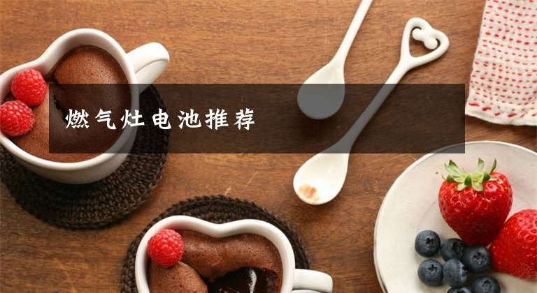 燃气灶电池推荐