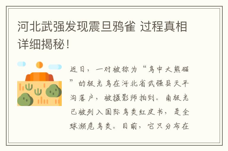 河北武强发现震旦鸦雀 过程真相详细揭秘!