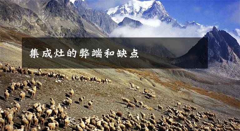 集成灶的弊端和缺点