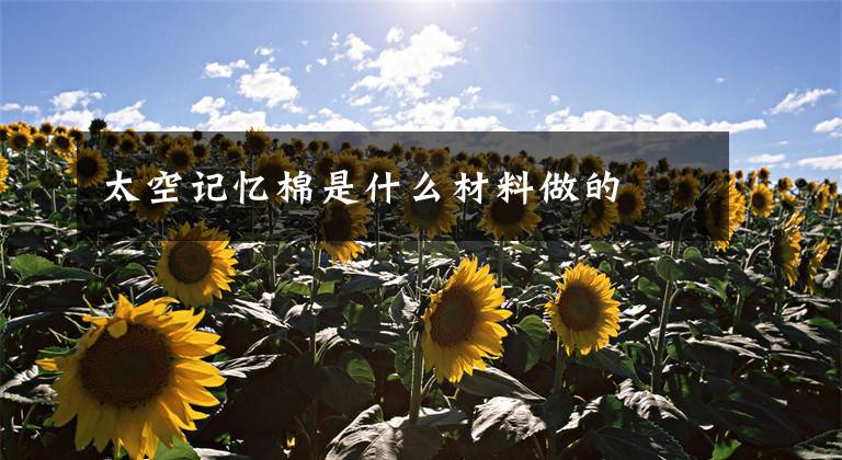 太空记忆棉是什么材料做的