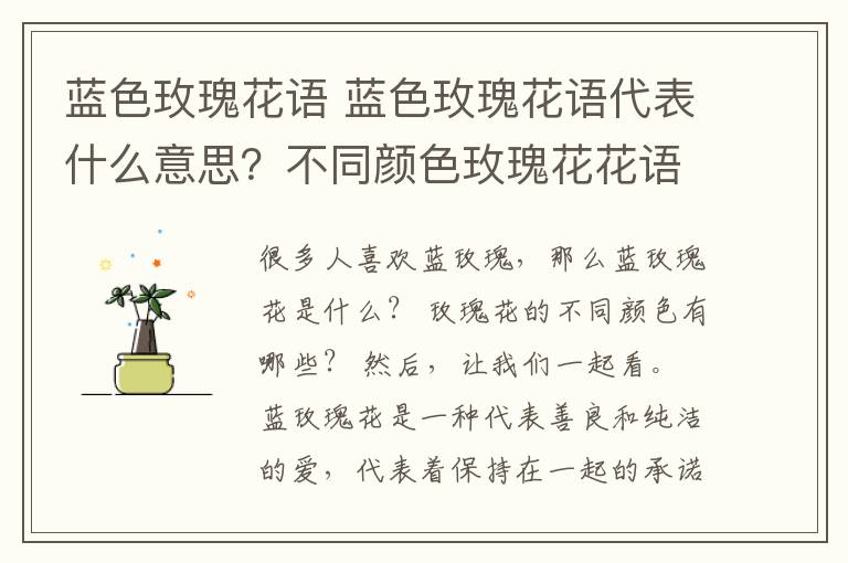 蓝色玫瑰花语 蓝色玫瑰花语代表什么意思?不同颜色玫瑰花花语