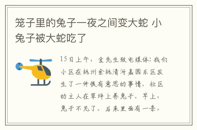 笼子里的兔子一夜之间变大蛇 小兔子被大蛇吃了